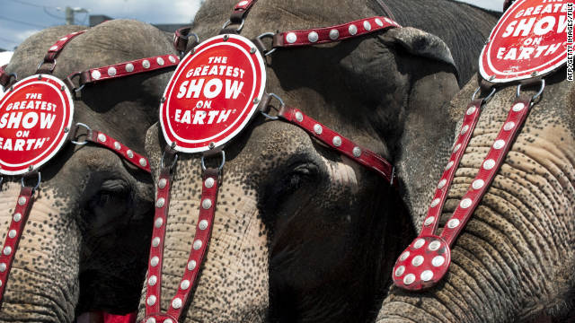 elephants